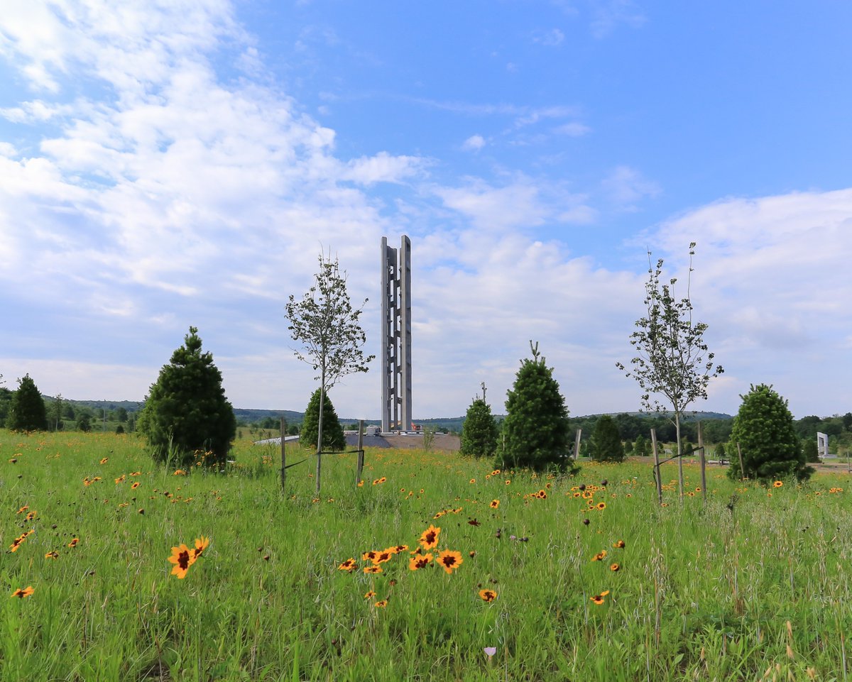 A large tower memorial rises up from a green meadow filled with yellow wildflowers 