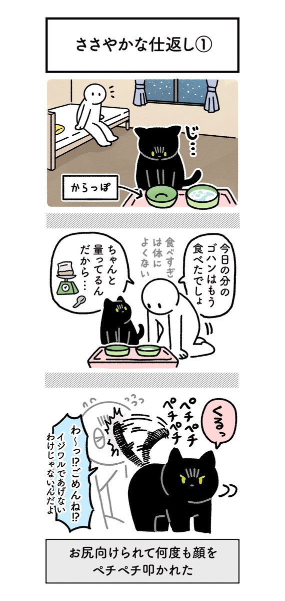 仕返しするときは一応痛くないようにしっぽで攻撃するようにしてくれるねこの絵日記(3まい) #ろんの絵日記 