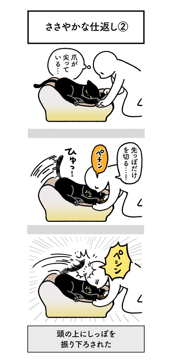 仕返しするときは一応痛くないようにしっぽで攻撃するようにしてくれるねこの絵日記(3まい) #ろんの絵日記 