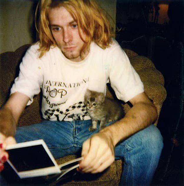 alijosephh's tweet photo. simplemente el señor Kurt Cobain y michis :') https://t.co/ryHAZgaaLN