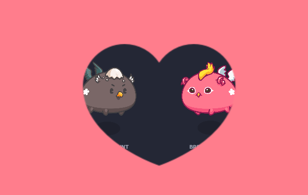 bbook_ax's tweet photo. I breed new Axie, I hope I will get  good Bird.
It's for my new Scholar. https://t.co/DoJpkzZFTZ