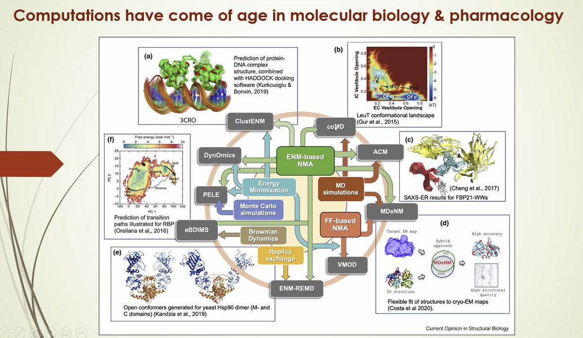 melikedonertas's tweet photo. Super excited about this next keynote speech by Dr Ivet Bahar - Network models in biology: Molecular machinery, chromosomal dynamics, and pathogenicity of missense variants. #HIBIT2021 https://t.co/tsguHZE8Na