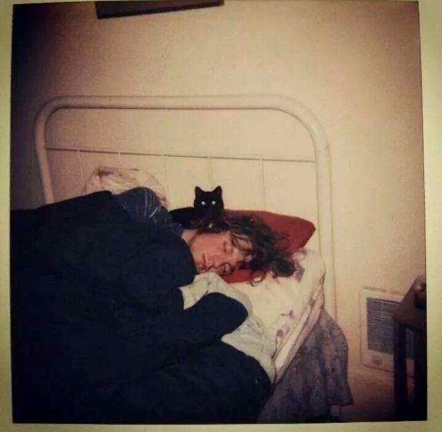 alijosephh's tweet photo. simplemente el señor Kurt Cobain y michis :') https://t.co/ryHAZgaaLN