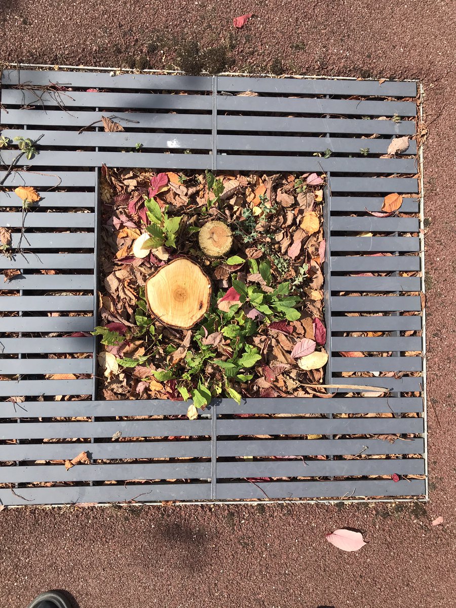 jordanpouille's tweet image. Une 60aine d’arbres dont 2 encore hier, ont été abattus cette semaine par le nouveau gérant d’une zone commerciale, à Blois. Ils étaient jeunes et sains. « On nous a dit que c’était pour mieux voir les enseignes depuis la route » raconte une vendeuse, encore effarée.