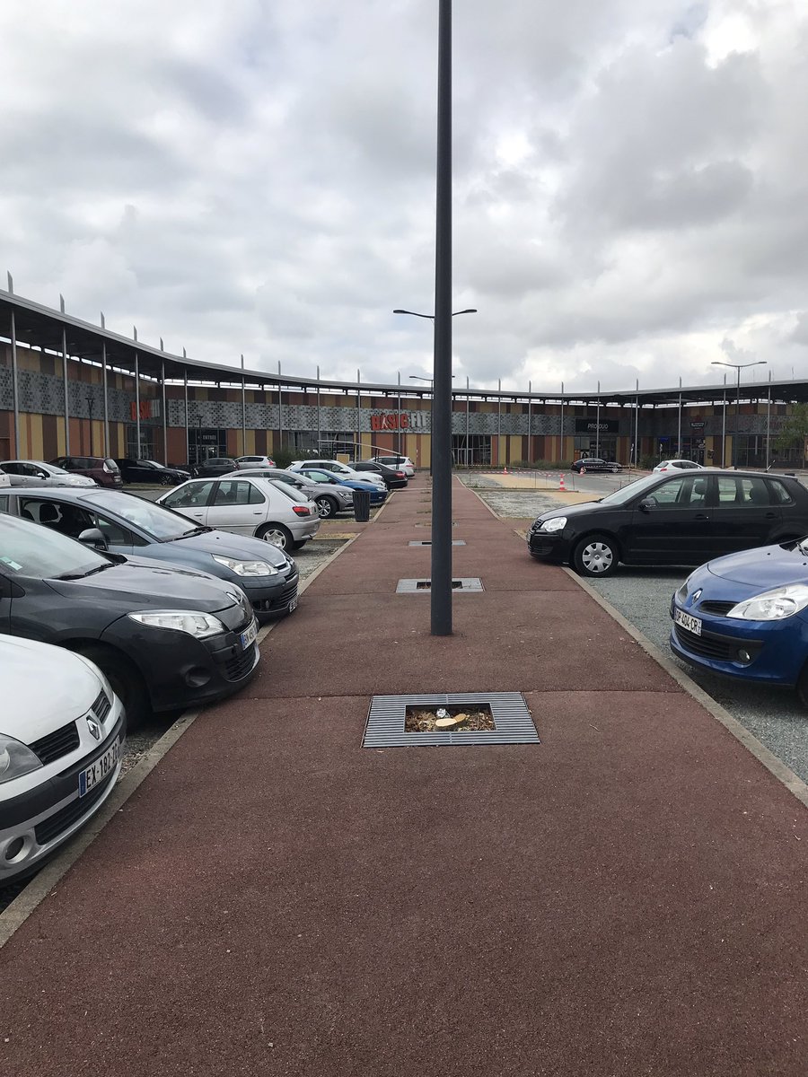 jordanpouille's tweet image. Une 60aine d’arbres dont 2 encore hier, ont été abattus cette semaine par le nouveau gérant d’une zone commerciale, à Blois. Ils étaient jeunes et sains. « On nous a dit que c’était pour mieux voir les enseignes depuis la route » raconte une vendeuse, encore effarée.