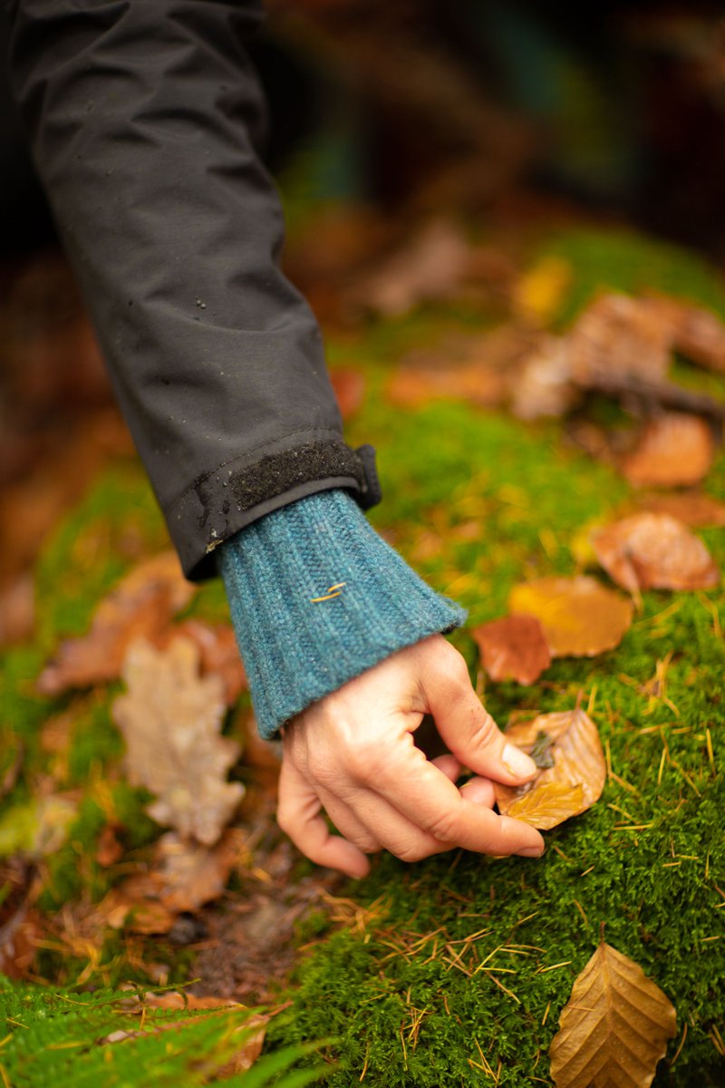 VisitDeanWye's tweet photo. Happy International Forest Bathing Day! Take time out to retreat to the forest &amp; nurture your wellbeing in the #DeanWye. We have a number of forest bathing experiences coming up this autumn: https://t.co/3fHpXXqQJL #ForestBathingDay #ForestBathing #ShinrinYoku #ForestOfDean https://t.co/Wn1Bbo4MDE