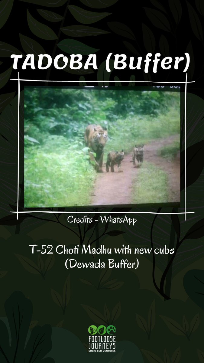 Footloose_India's tweet photo. #FJ_TravelUpdate
(3/4) https://t.co/HJxRR8QYvI