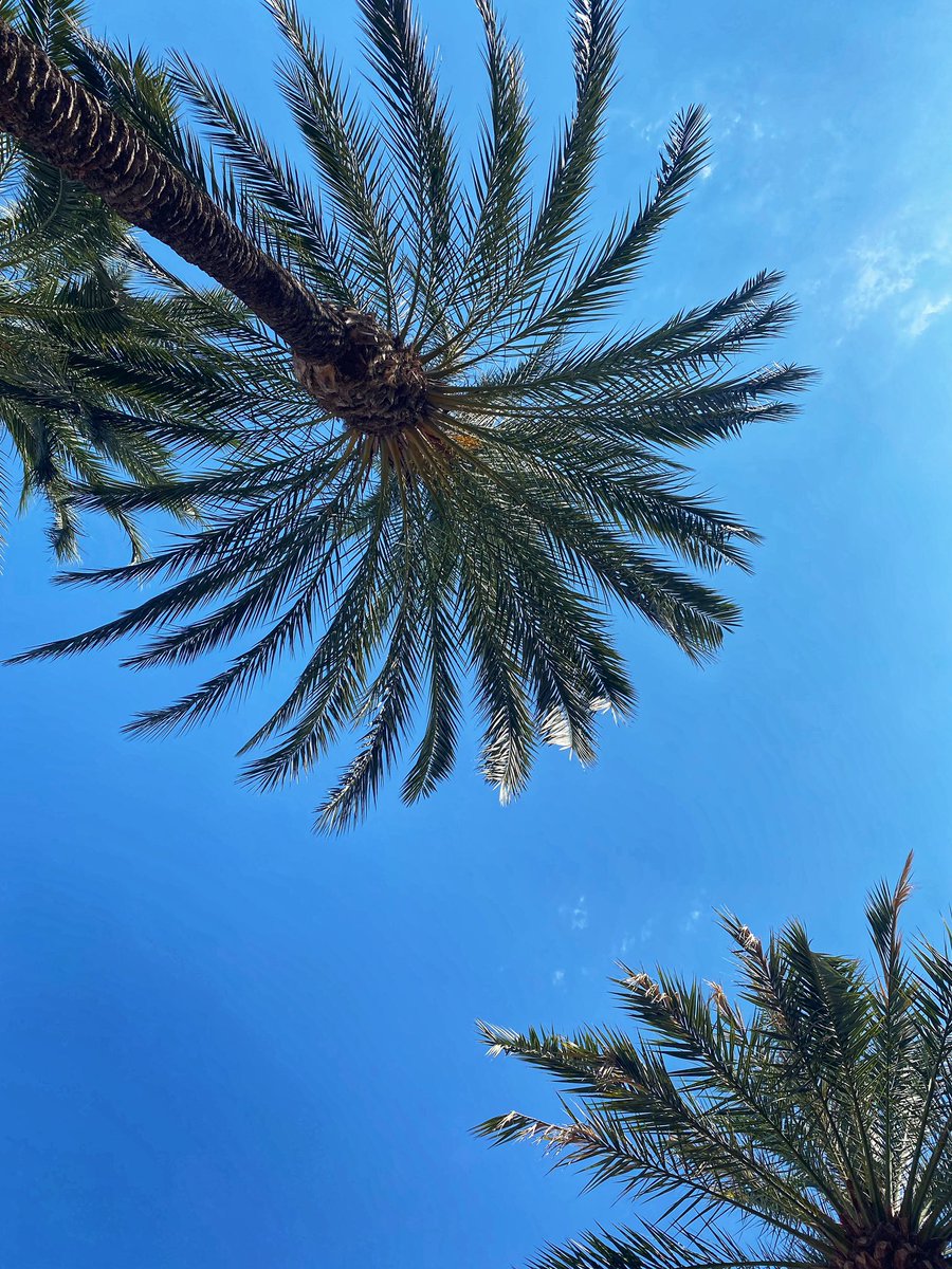 The view that you have when enjoying our pools… more than 300 sunny days a year!😎
La vista que tenéis cuando estáis disfrutando de nuestras piscinas… más de 300 días soleados al año!😎
#solpelicanosocas #benidorm #sunny