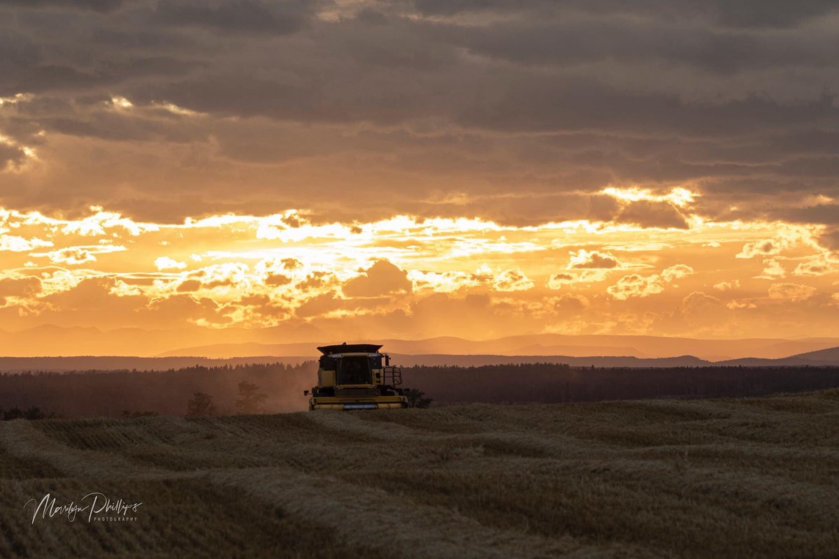 Chad Smith tweet media