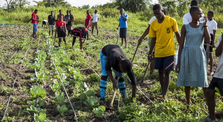 Youth and their role in the economy