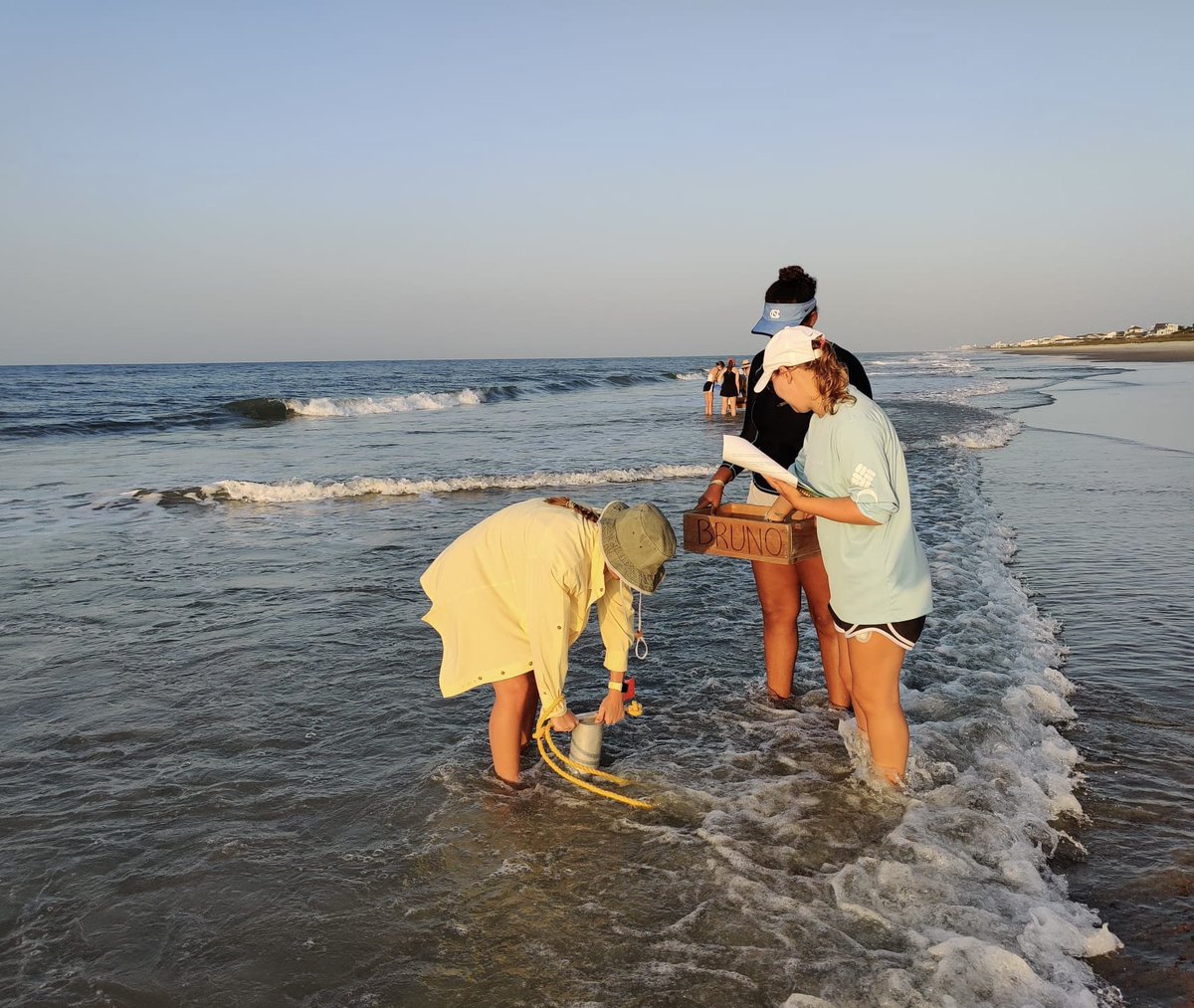 UNC Dept of Earth, Marine & Environmental Sciences tweet media