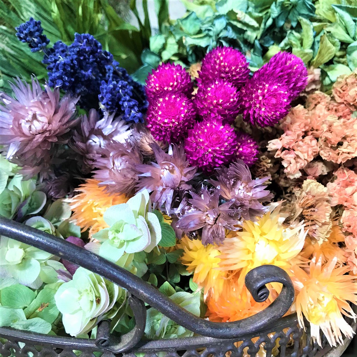 Top Tweets For Oregano Instalker