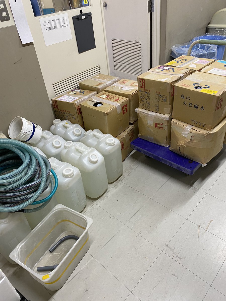 kandai_coral's tweet photo. 研究室にはCTなど再生医療・バイオマテリアルの分野で用いる研究設備が揃っているので、海では出来ない基礎研究を行なっています。
本日はアクアリウムショップにご協力いただき、水槽を綺麗にしてサンゴと魚を増やしました🐟 by猿渡 https://t.co/AT3tdT6UWD