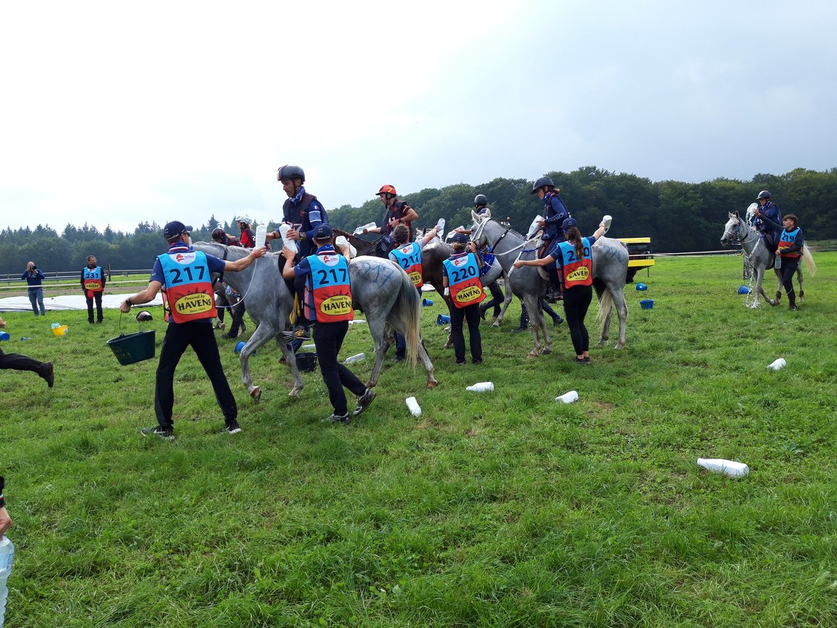 EK Endurance in Ermelo. Erg spectaculair. De foto is gemaakt bij een 'coolingpost' in Speuld. <a href="/GemeenteErmelo/">Gemeente Ermelo</a> <a href="/Ermelobuitenlev/">VVV Ermelo Buitenleven</a> <a href="/KNHSNederland/">KNHS</a>