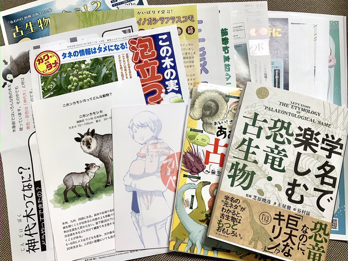 出展数も来場者数も控えめな中行われましたが不織布マスク、ブースごとに消毒など対策も徹底していて知識欲が満たされる良きイベントでした…面白そうな書籍、石鹸がわりになる植物を含むたくさんの実や種の展示、素敵雑貨、ずっと気になってたシカクガングさんの映像玩具…! #博物ふぇすてぃばる 