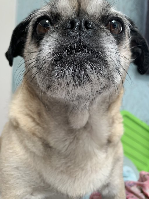 Fan girling this angel https://t.co/z3O0Tyrvyb