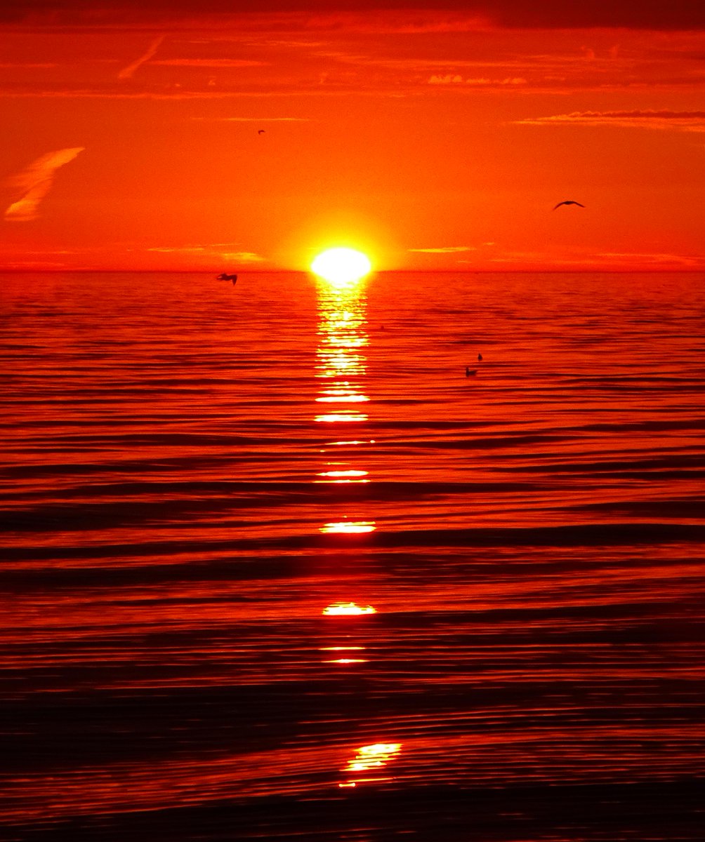 DaphneLHunt1's tweet photo. #Sunrise #TheSunriseProject #RCHarris #Toronto #Scarborough #LakeOntario #TorontoLakefront #BirchCliff #TOBeach https://t.co/ObEx3Te0Gc