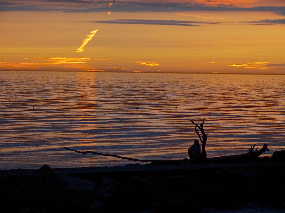DaphneLHunt1's tweet photo. #Sunrise #TheSunriseProject #RCHarris #Toronto #Scarborough #LakeOntario #TorontoLakefront #BirchCliff #TOBeach https://t.co/ObEx3Te0Gc