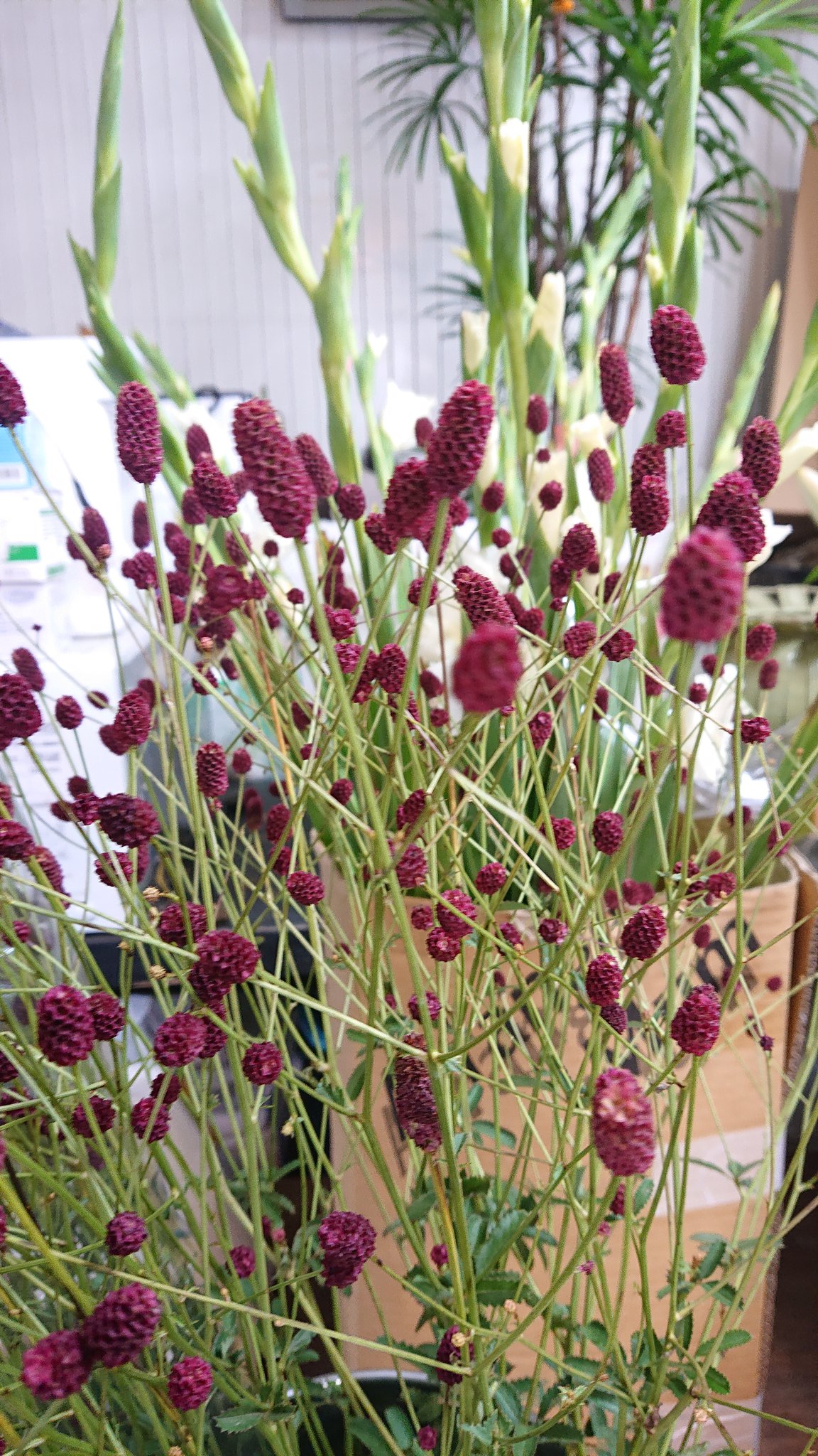 フラワーショップシンドー Yoko4lovedct Twitter