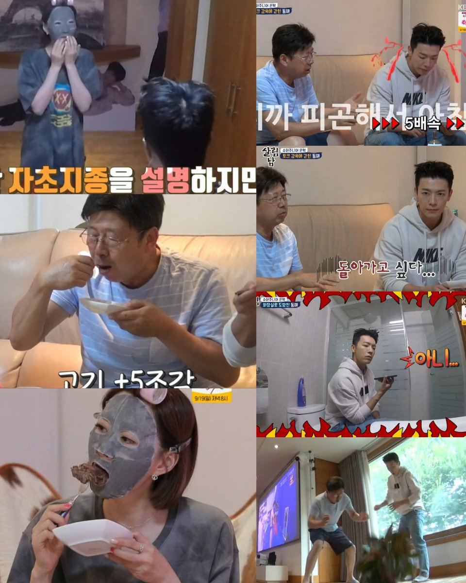 miso_hyuk's tweet photo. so hyukjae left his family alone at the dorms for a few hours and they scared his best friend, ate donghae's food, talked to him non-stop until he had to call hyukjae to complain, broke a potted plant, made donghae cry a lil &amp; watched tv innocently until hyukjae came back https://t.co/mn4oDaKPYI