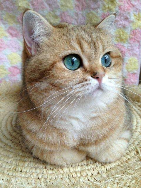 @bickimoon 🥰💕🥰💕🤗💕🥰💕🤗
💕
🥰