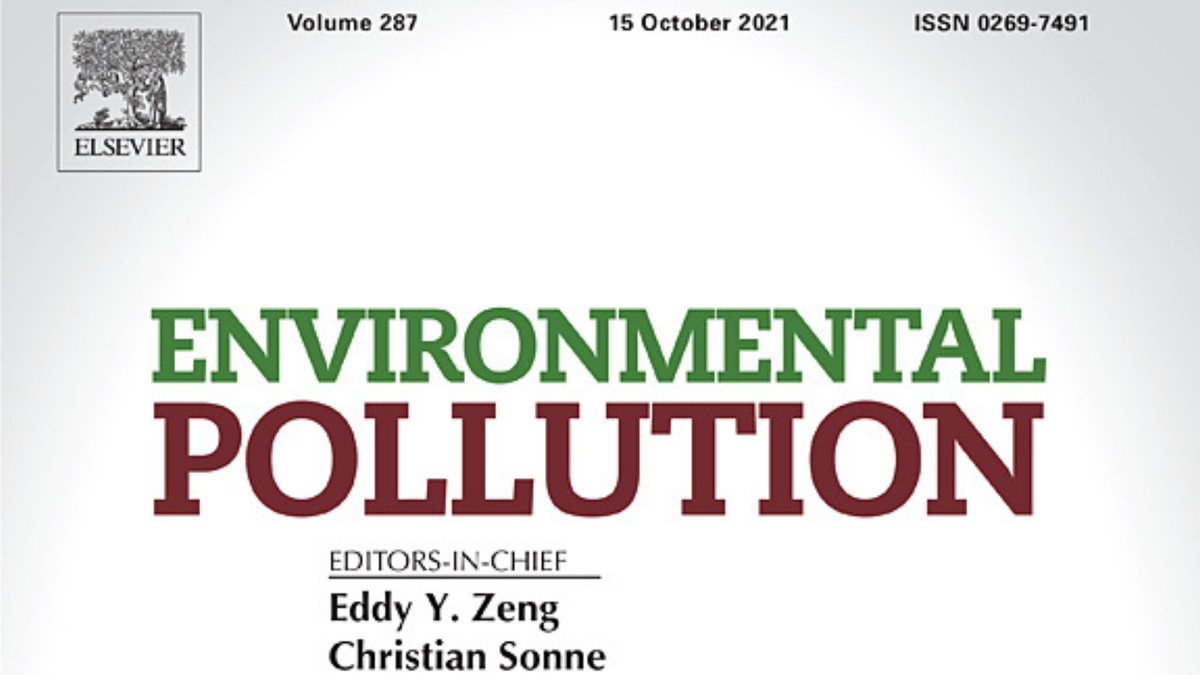 Peld Tams tweet media