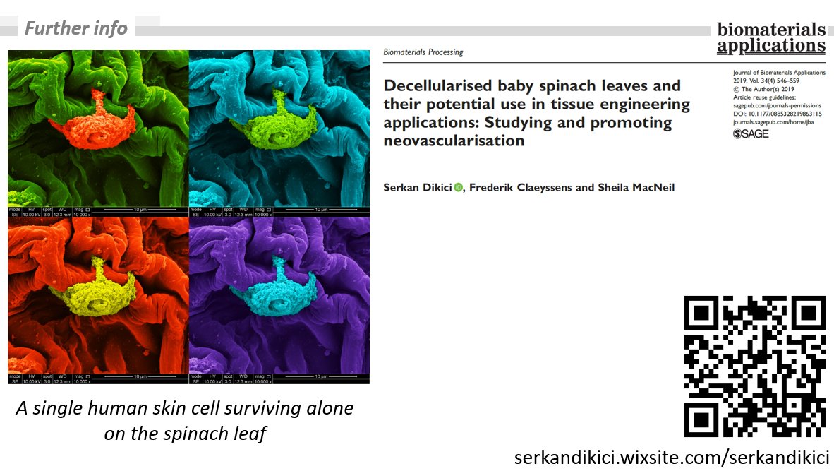 Thrilled to have the opportunity to share my research with great scientists and be a finalist in the category of #EngineeringScience at #DRA2021. If spinach leaf as a biomaterial caught your attention, please scan the QR code and find more and dig into the world of biomaterials
