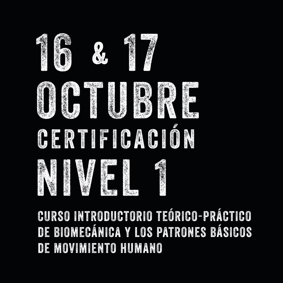 ocfitnessco's tweet photo. OC Academy Of Fitness ¡Nuevas fechas! 

El Nivel 1 es esencial para cualquiera que quiera convertirse en un Entrenador certificado por nuestra academia.

https://t.co/11SYIADgc7 https://t.co/KDd9wSWEat