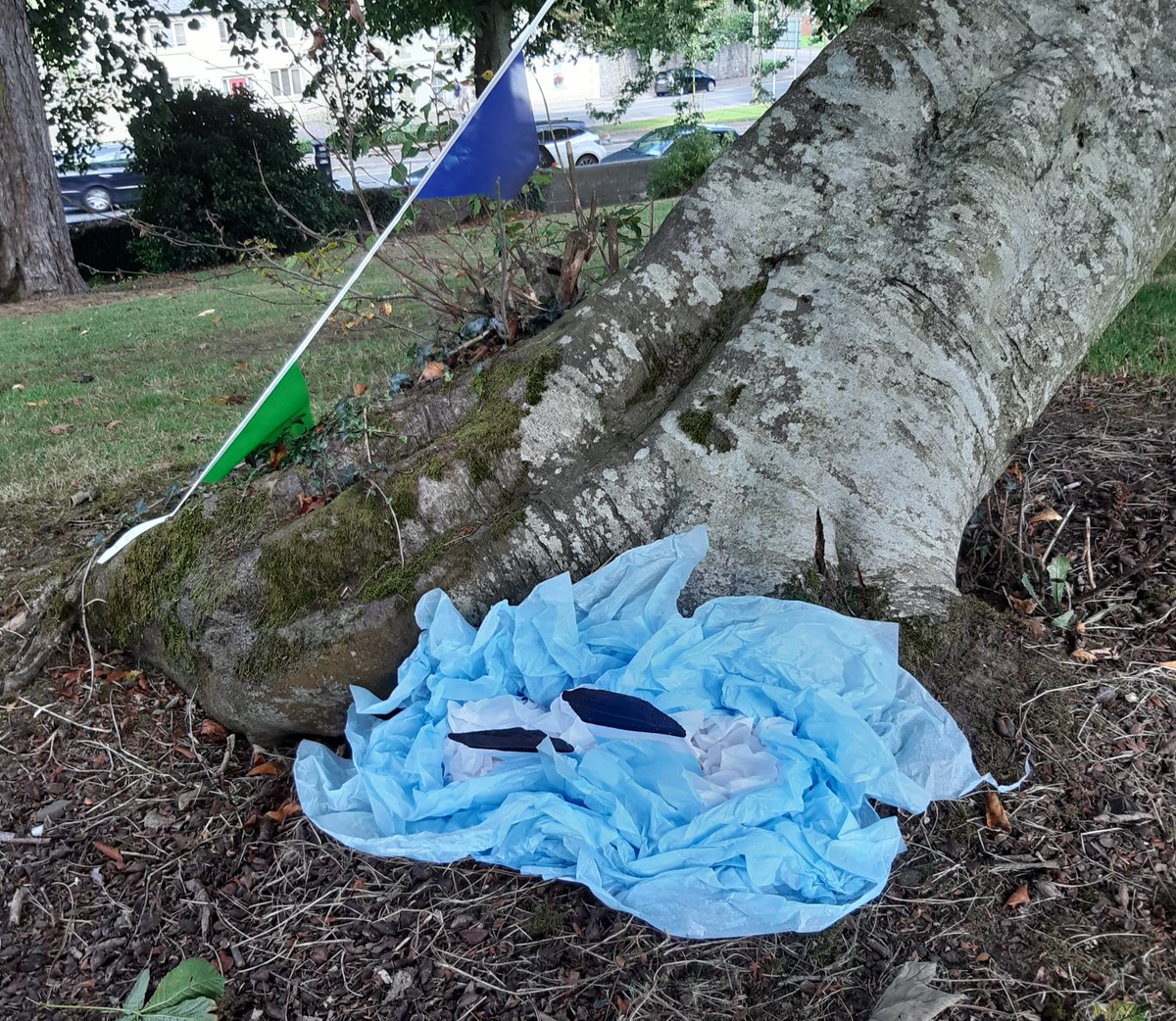 Oh dear, Alice has fallen down a rabbit hole at #HinterlandKells. We hunted down some of her friends around the town to help out. Many thanks to the local retailers who helped us find our way. Also picked up some books when we should have been solving clues 😃📚🎩🐰