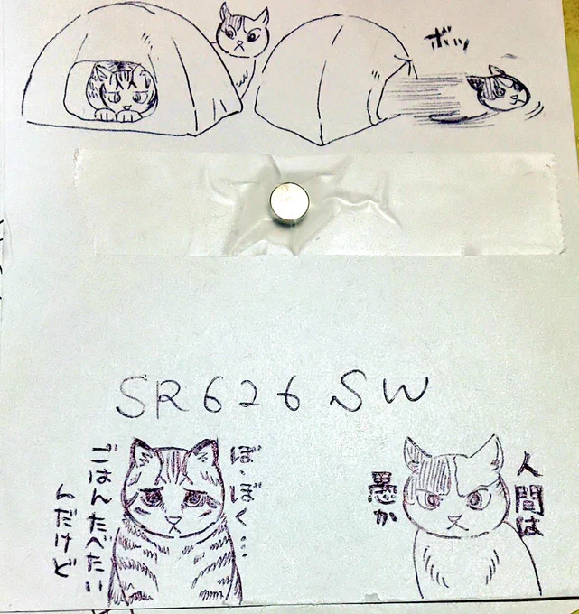 猫の落書き。
(明日豆電池買わねば) 