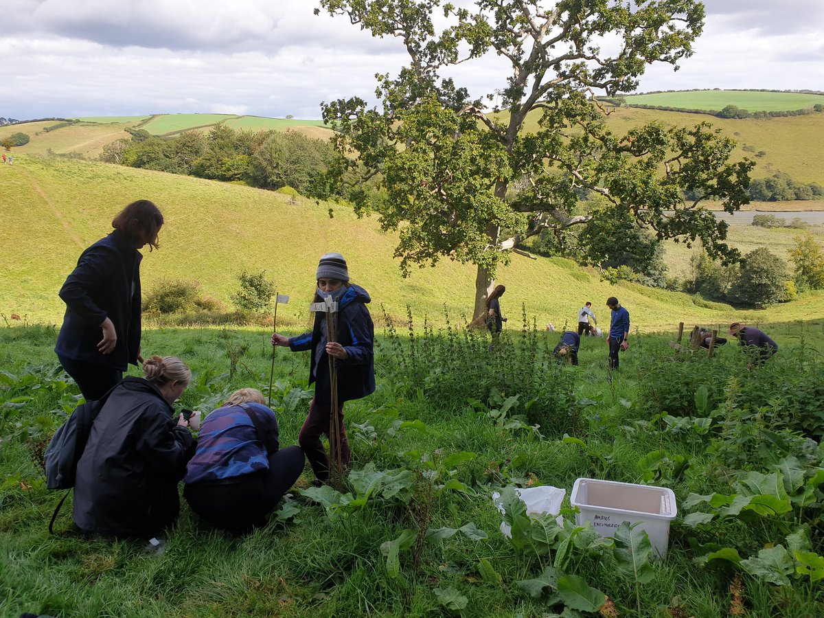MarcusWRhodes's tweet photo. A new day and we're back at Sharpham for round two of #ExeterRewildingFC! Going through the moth traps before breakfast and then out setting pitfall traps for ground beetles. https://t.co/XuDO2bnbRF