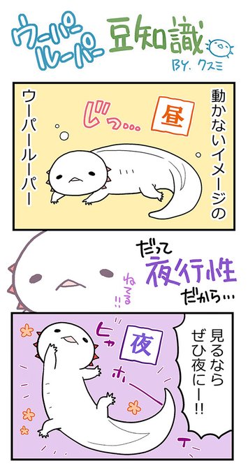 ウパだより クスミ ｳｰﾊﾟｰﾙｰﾊﾟｰ４コマ Lineスタンプ Upadayori さんのマンガ一覧 いいね順 2ページ ツイコミ 仮