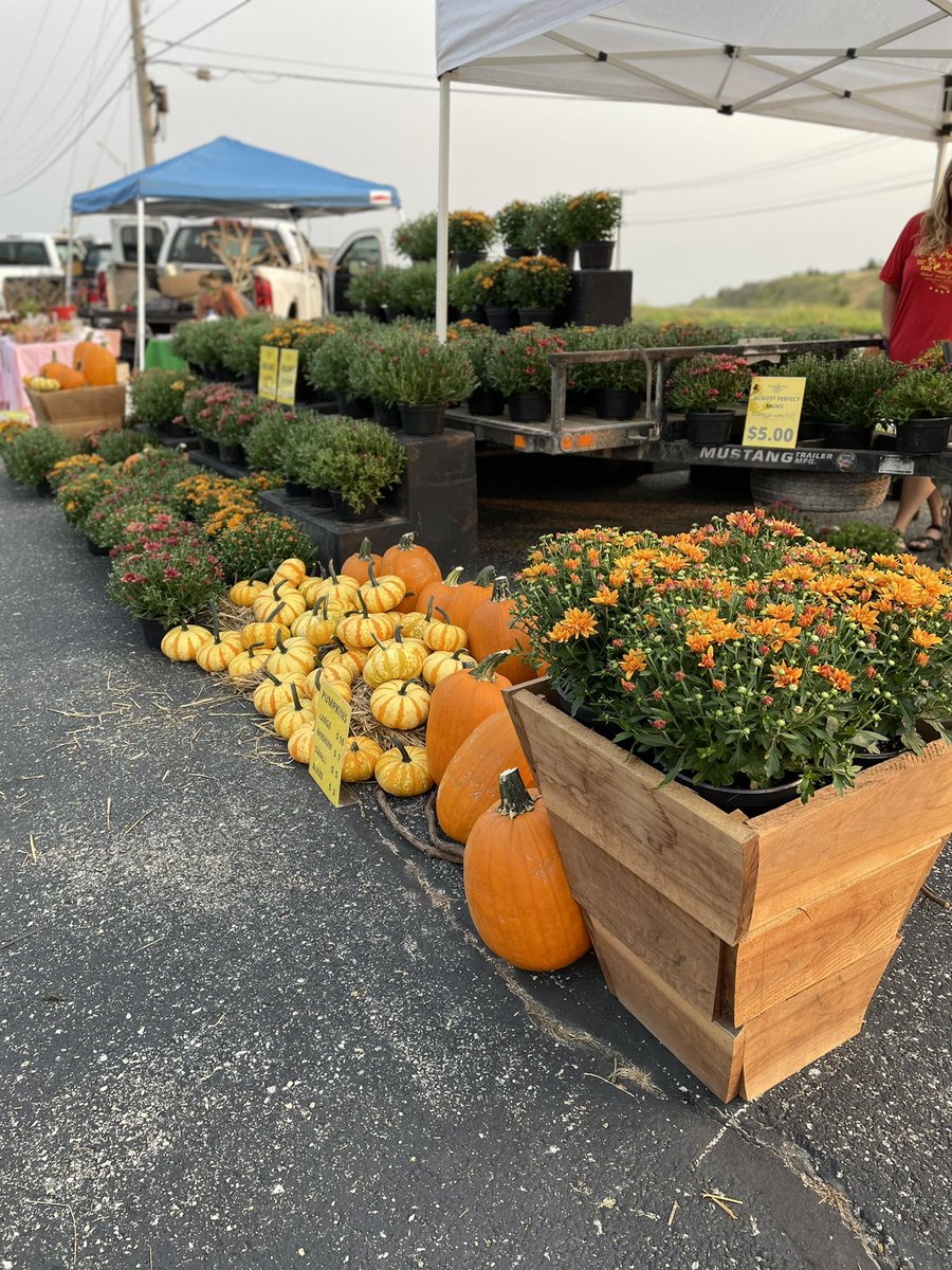 GoFarmMarket's tweet photo. Your #gofarmmarket is open and ready to serve you until 1pm today! #westplains https://t.co/HkHYxCwkzD