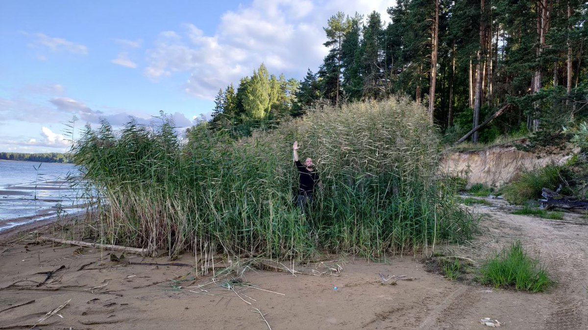 AlexanderArzh's tweet photo. That's the grass
#Grass #travelphotography https://t.co/DXx3LbcJOQ
