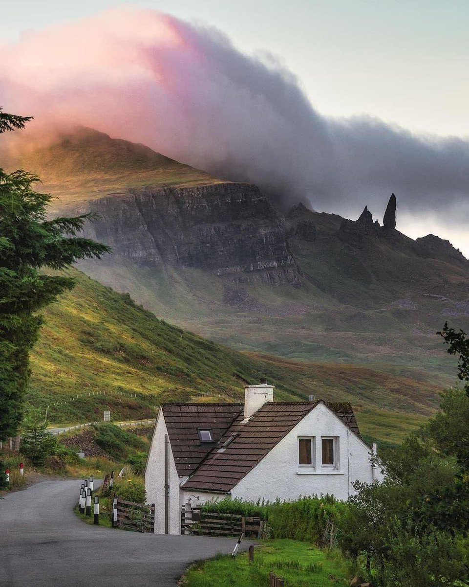 Nayef Saif tweet media