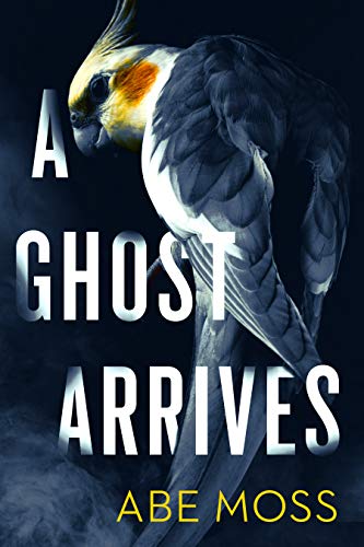 13HorrorStreet's tweet photo. Grab these FREE &amp; Bargain Horror Kindle books for Saturday!
https://t.co/mludwpDmon https://t.co/3nzEm9qQiC