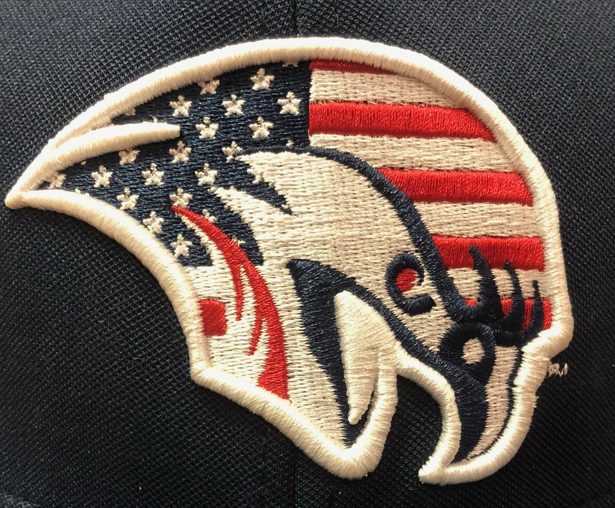 RoanokeBaseball's tweet photo. On the 20th anniversary we honor and remember those lost on the tragic day of September 11th, 2001. #911Memorial https://t.co/nlCCJTshce