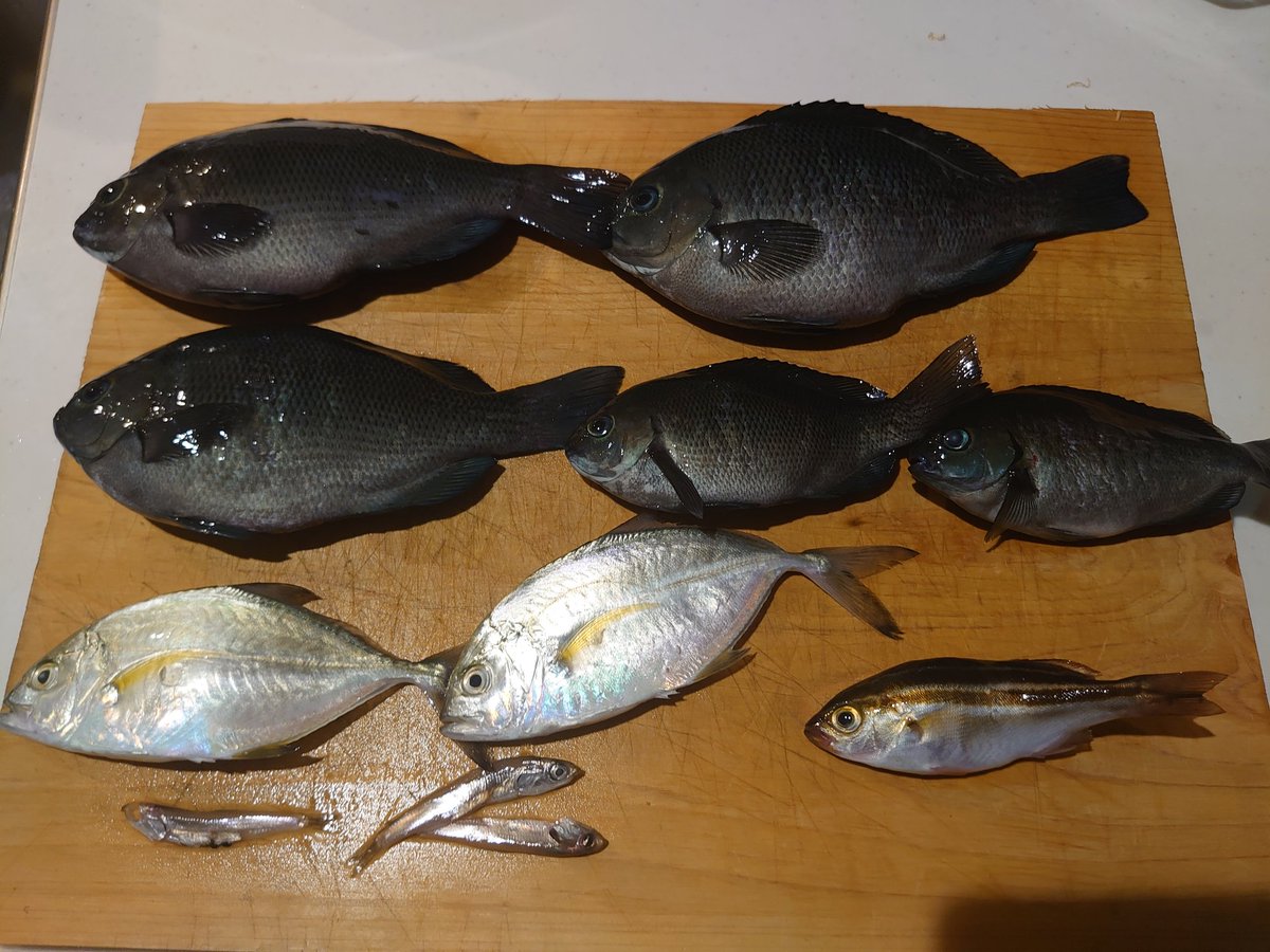 みんなの うり坊 口コミ 評判 食べたいランチ 夜ごはんがきっと見つかる ナウティスイーツ