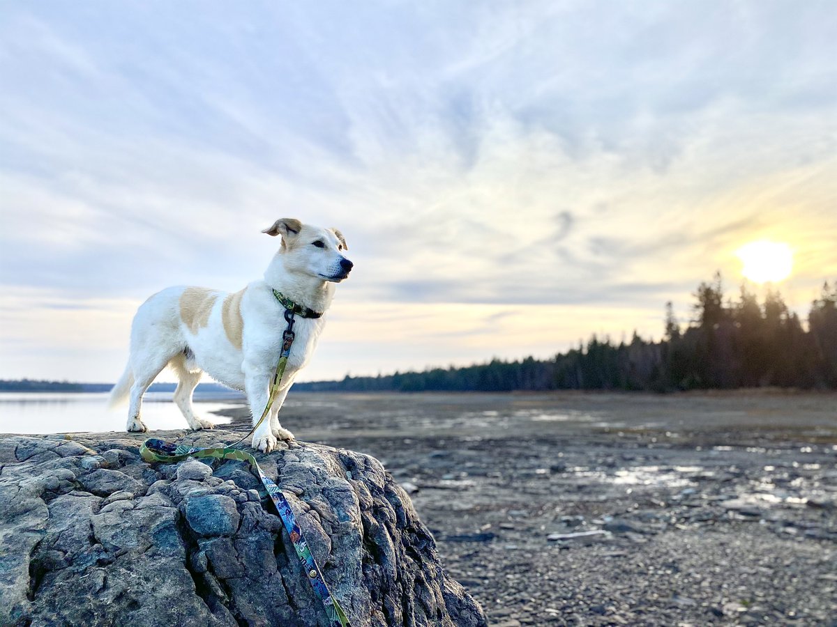 It didn’t work. 

20 years ago an evil element momentarily, brought us to our knees. But their tactics didn’t last the day. Where they assumed to find panic and fear, the passengers of Flight 93 demonstrated the absolute best of humanity when faced with its worst.