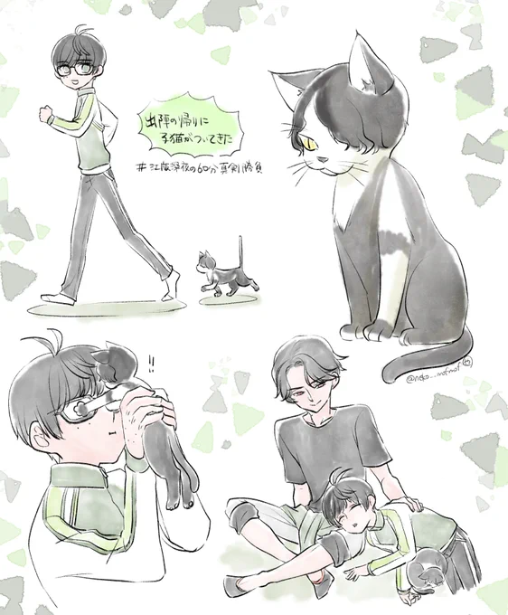 お題:出陣の帰りに子猫がついてきた!
#江版深夜の60分真剣勝負 