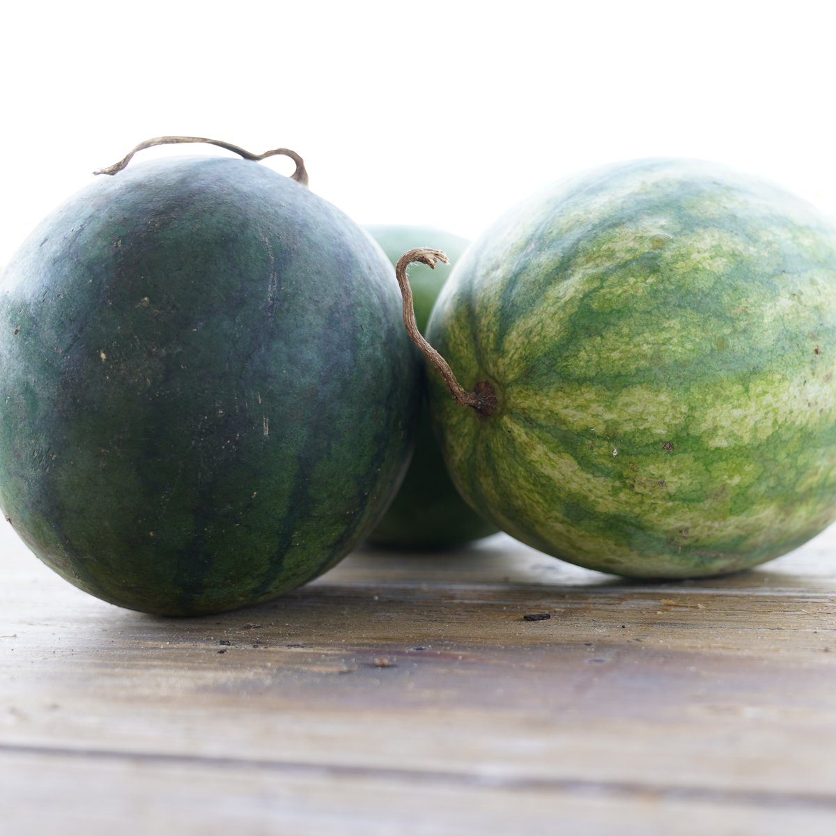 johnny_organic's tweet photo. We harvested Desert King and Silver Yamato watermelon! Both varieties are known for resistance to cracking and sunscald.  
#regenerativefarming #organicgardening  #zone9a https://t.co/i8zc7zqqBG