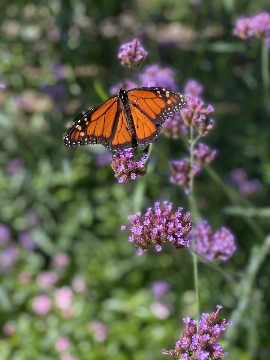 If this isn’t a sign of hope I don’t know what is