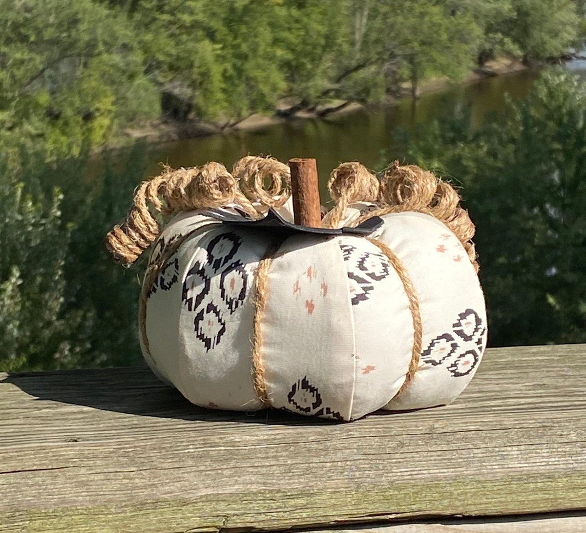 chestnutcrochet's tweet photo. Sharing for Lisa Pierce on Etsy
Really love this, from the Etsy shop KnotPerfectDesignsCo. https://t.co/jMH3ovMFOc #etsy #rustorange #fabricpumpkin #rustictabledecor #harvestbowlfiller #mantledecoration #harvestdecoration #orangepumpkin #stuffedpumpkin https://t.co/ufDApRHl1d