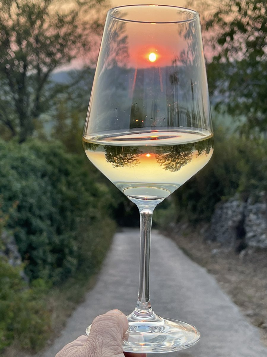 Some harvesting has begun in the hills of Soave especially for grapes that will be dried for the sweet #Recioto di #Soave and for spumante wines. #soavewine #wine #italy #winetime #harvest #sunsets