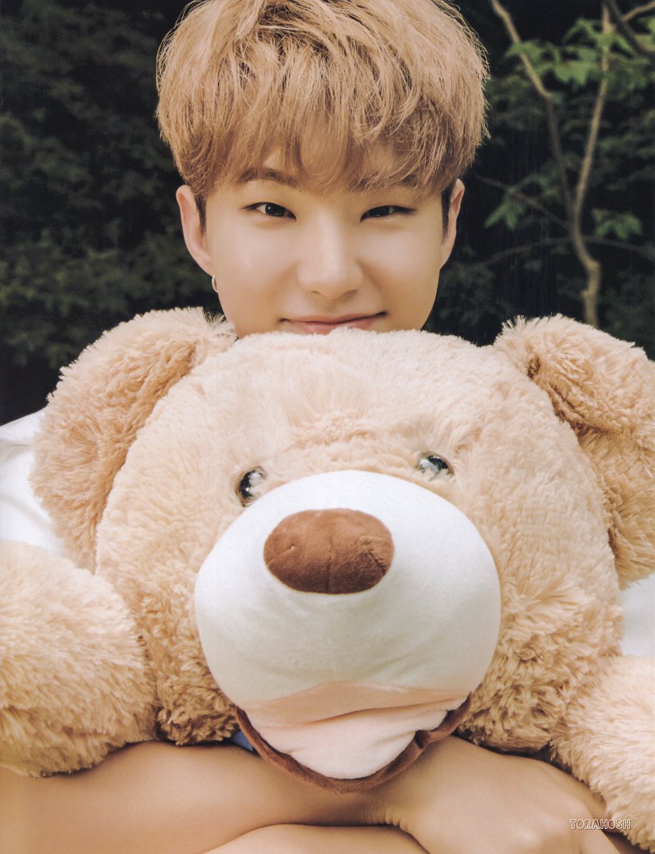 torahosh's tweet photo. [ scan ] D-icon 디아이콘 vol.12 세븐틴
#호시 #hoshi 🧸🌿 https://t.co/SYsFpLKxEg