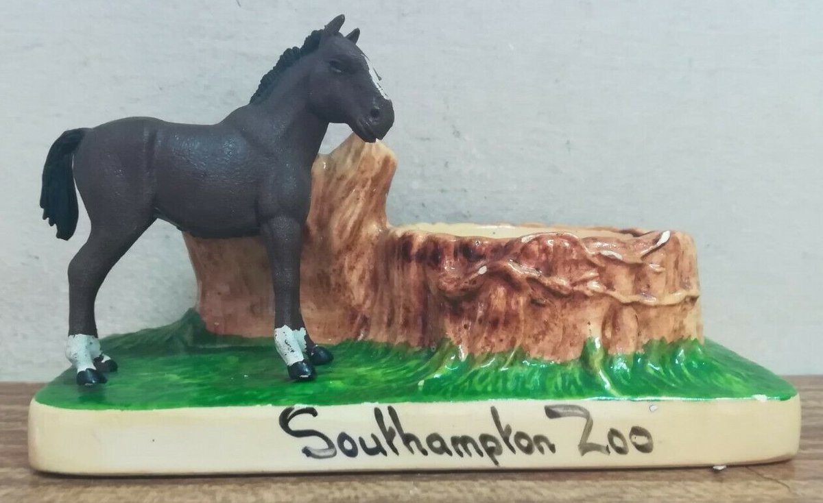 Did You Go To #Southampton Zoo?
<a href="/SECRETSOUTHAMP1/">SECRET SOUTHAMPTON</a> <a href="/SouthamptonHid1/">Southampton Hidden History</a>