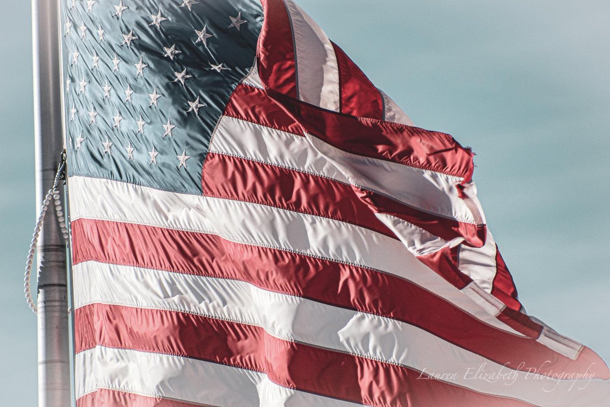 Lauren Elizabeth tweet media