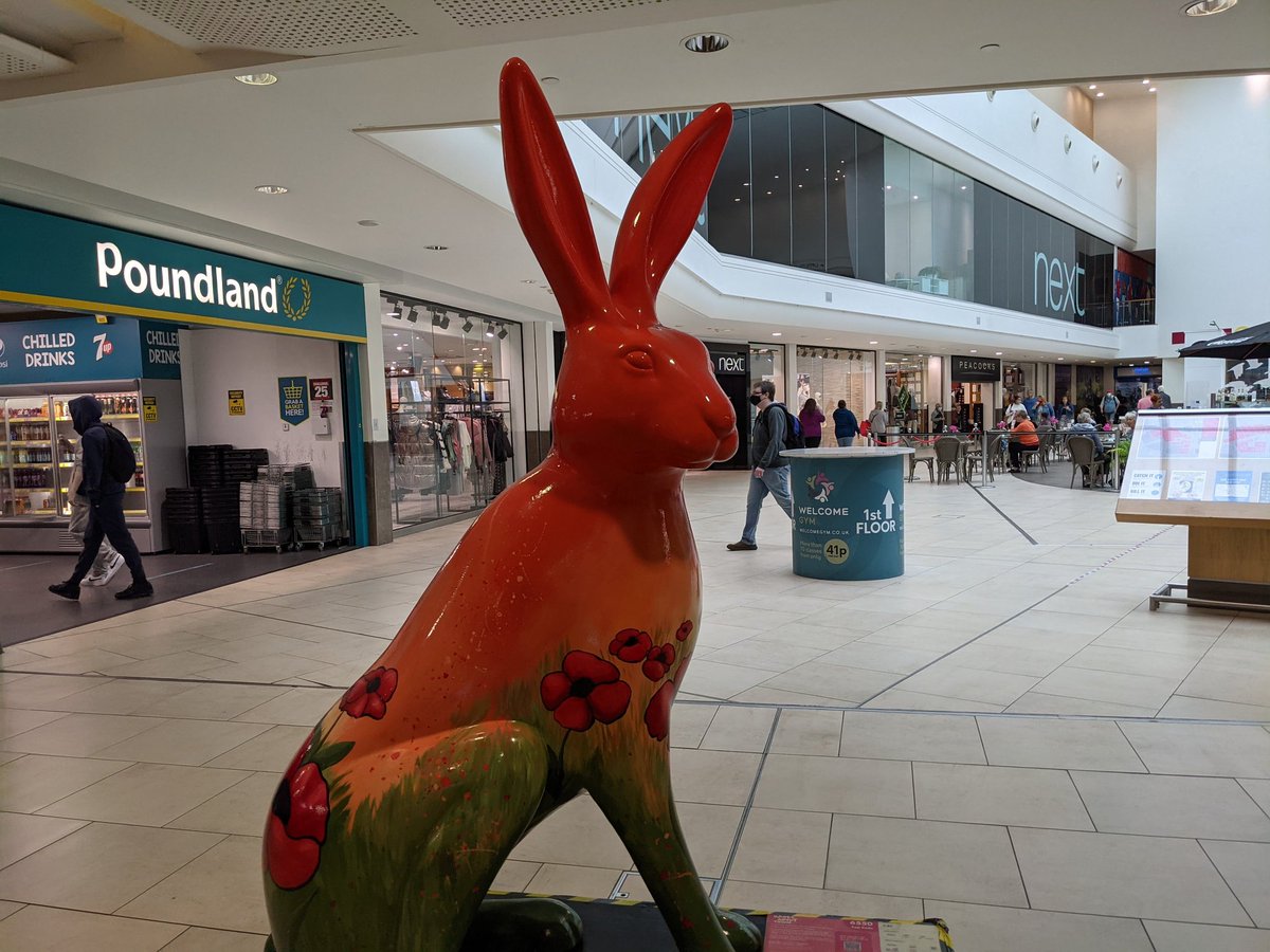 Hoppy Poppy

#HaresAboutTown #VictoriaShoppingCentre #Southend #Essex