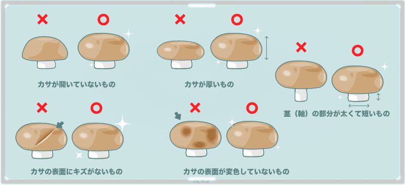 イラレブック Eikyuhozonbann Twitter