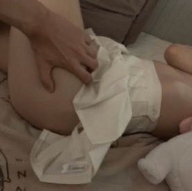 paws (@smaiipet) on Twitter photo 